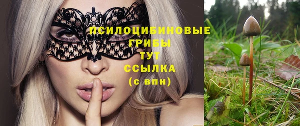 амфетамин Приозерск