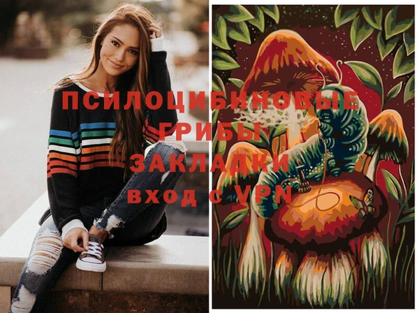 не бодяженный Протвино