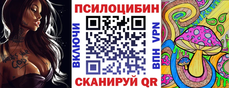Купить где  Саяногорск  Галлюциногенные грибы Cubensis 